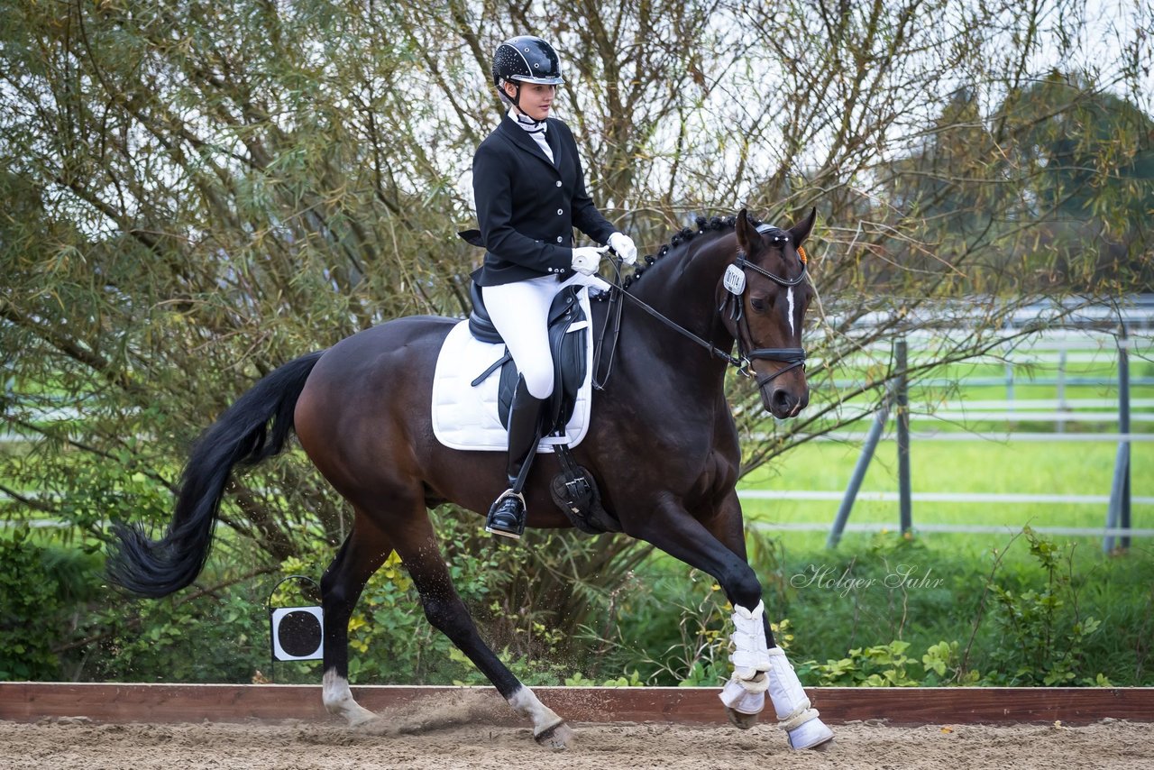 Album: Pony Akademie Turnier am 26.9.21 - auf der Reitanlage Breckwoldt